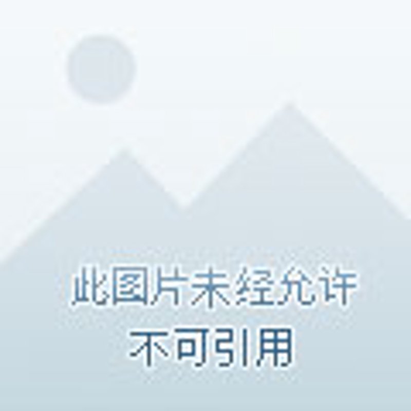电商批发行业的风向标:洞察趋势,把握机遇